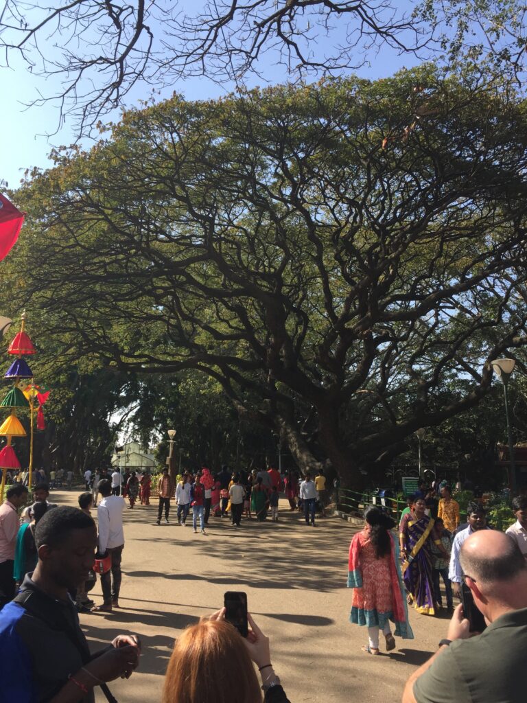 Lalbagh Botanical Gardens